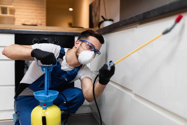 Best Best Pest Control Companies  in Cresco, IA
