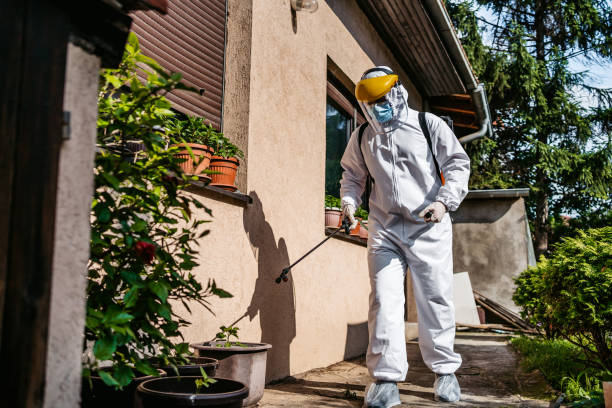 Best Flea Control Services  in Cresco, IA