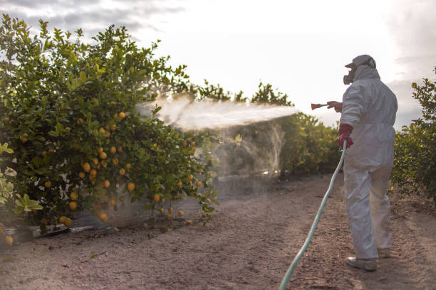 Best Mosquito Control Services  in Cresco, IA