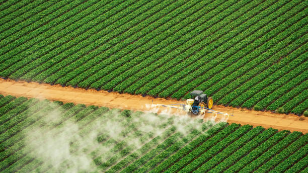 Best Best Pest Control Companies  in Cresco, IA