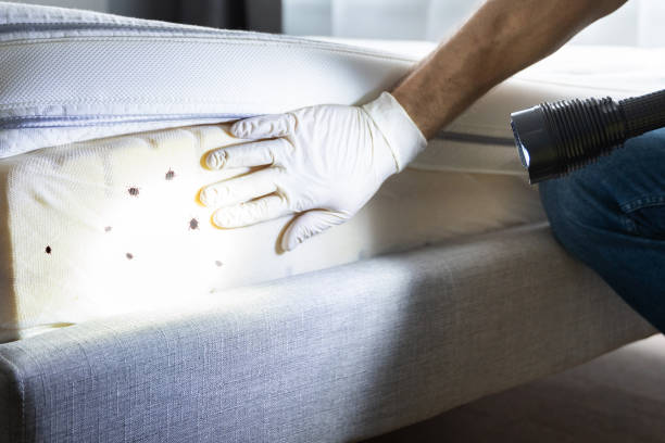 Best Local Pest Control Services  in Cresco, IA