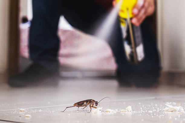 Cresco, IA Pest Control Company