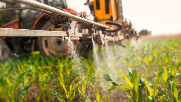 Best Ant Control Services  in Cresco, IA