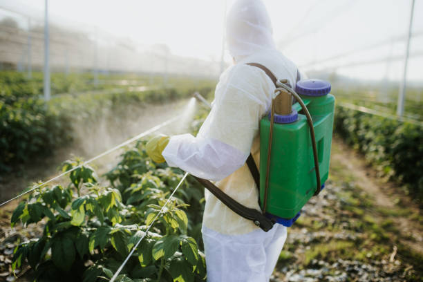 Pest Control for Restaurants in Cresco, IA